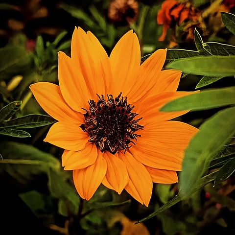 Photo 30
