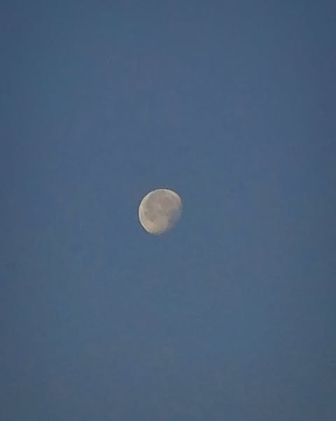 Photo 39