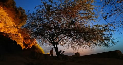 Photo 41
