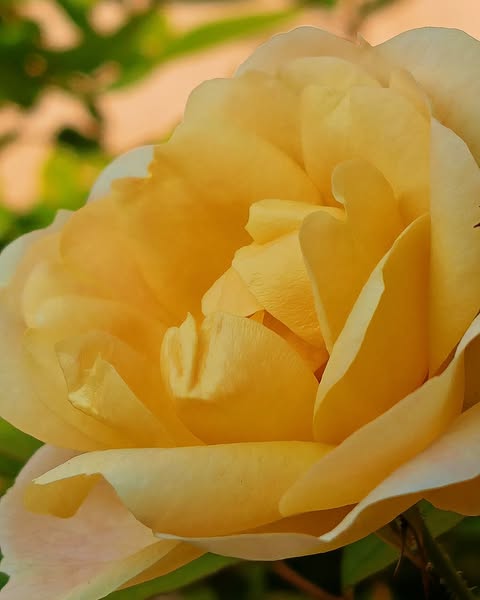 Photo 70