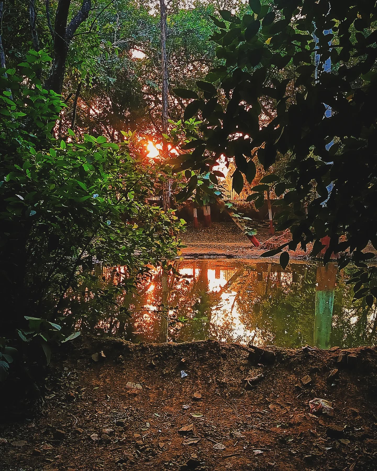 Photo 9